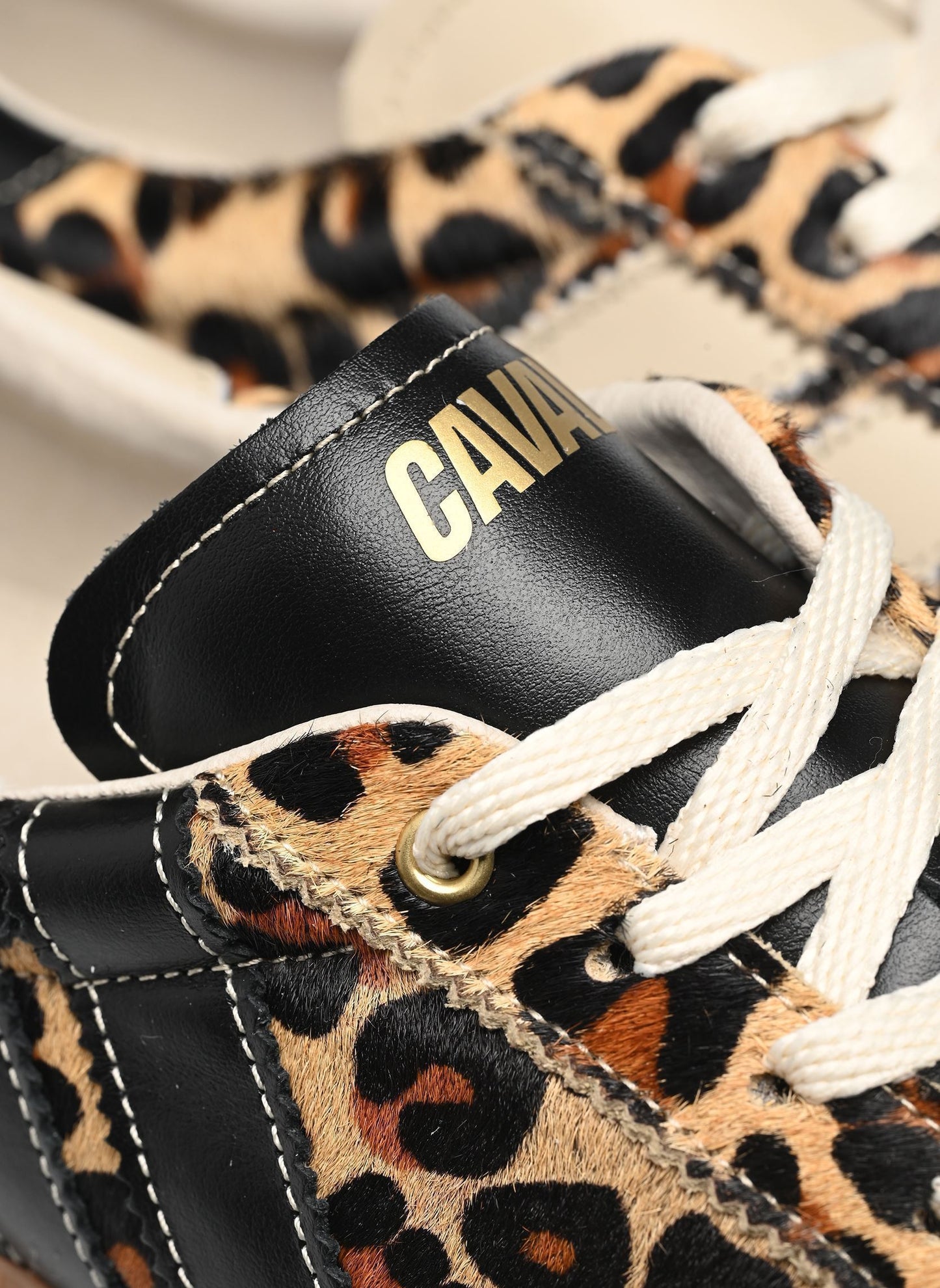 Pulse leo obsession | Bildmaterial bereitgestellt von SHOES.PLEASE.