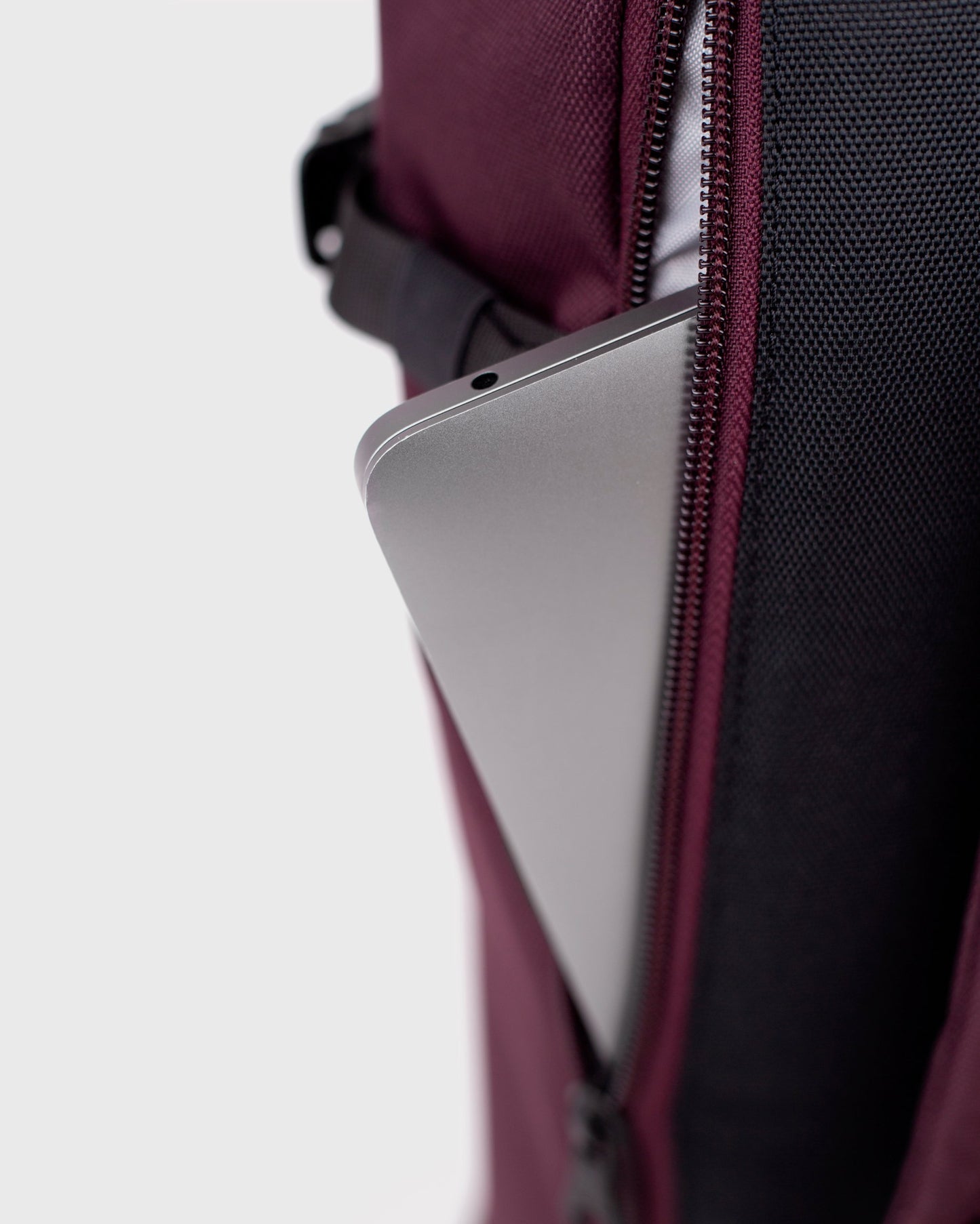 ICON Rolltop Backpack M cabernet | Bildmaterial bereitgestellt von SHOES.PLEASE.