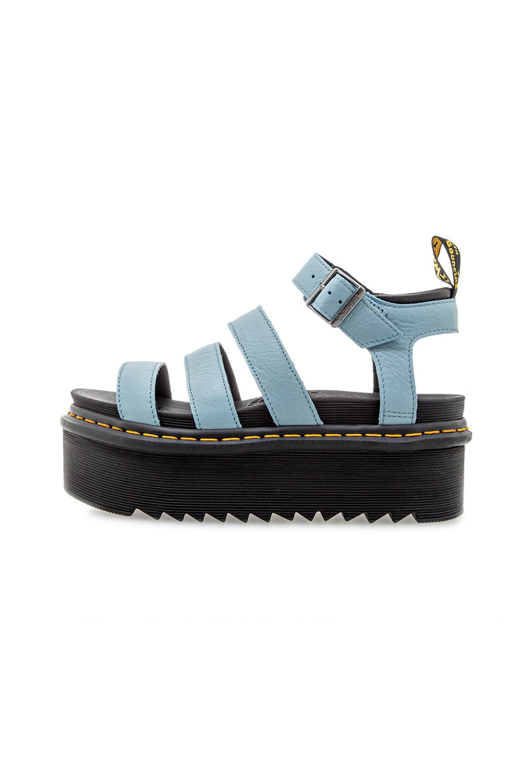 Blaire Quad Card Pisa BLAU (hell)