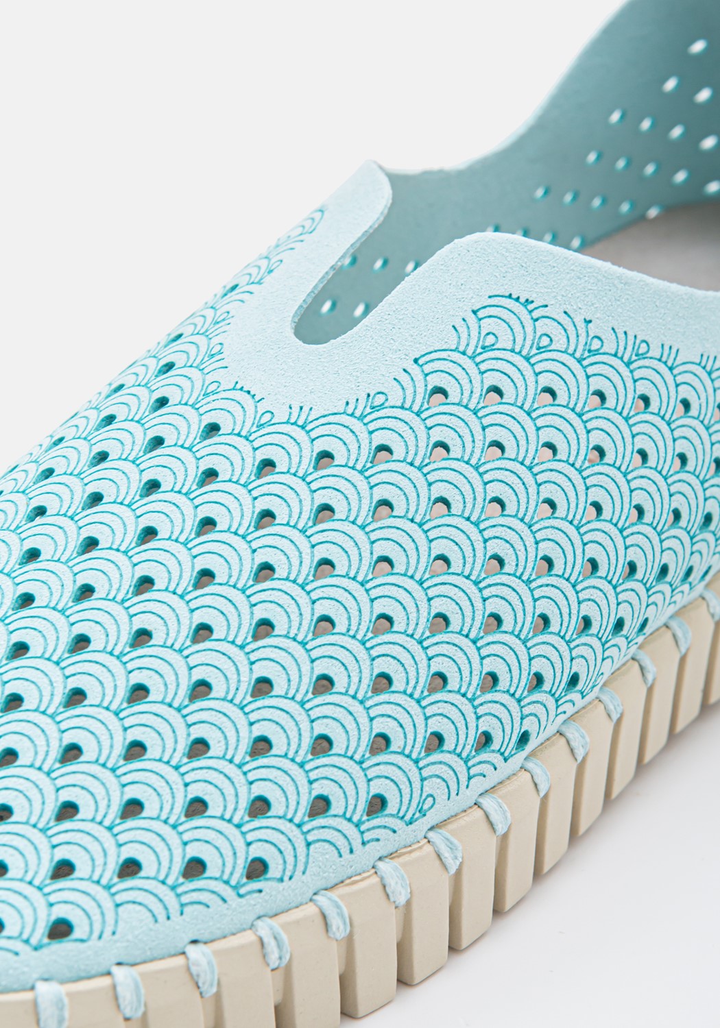 Flats Tulip sapphire | Bildmaterial bereitgestellt von SHOES.PLEASE.