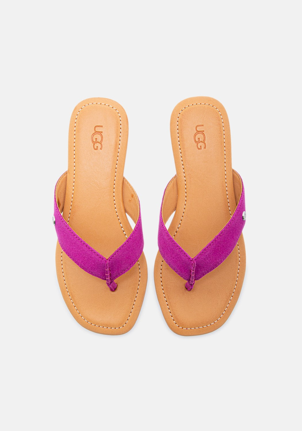 Tulomne California dragon fruit Suede | Bildmaterial bereitgestellt von SHOES.PLEASE.