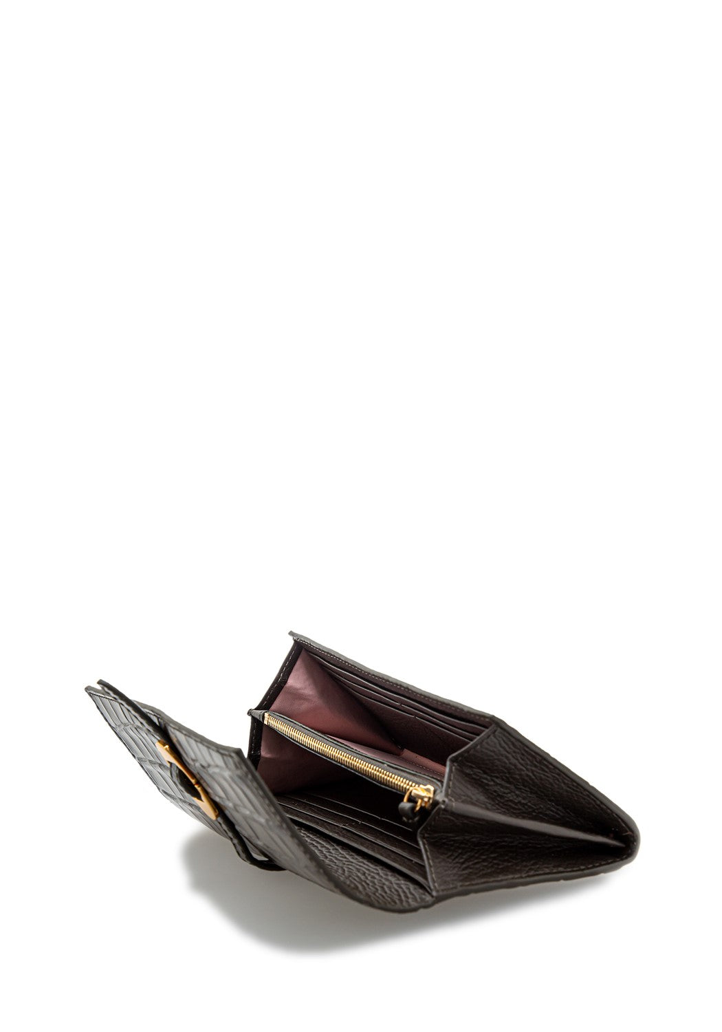 Coccinellecosima cro. L2B-110301 bark | Bildmaterial bereitgestellt von SHOES.PLEASE.