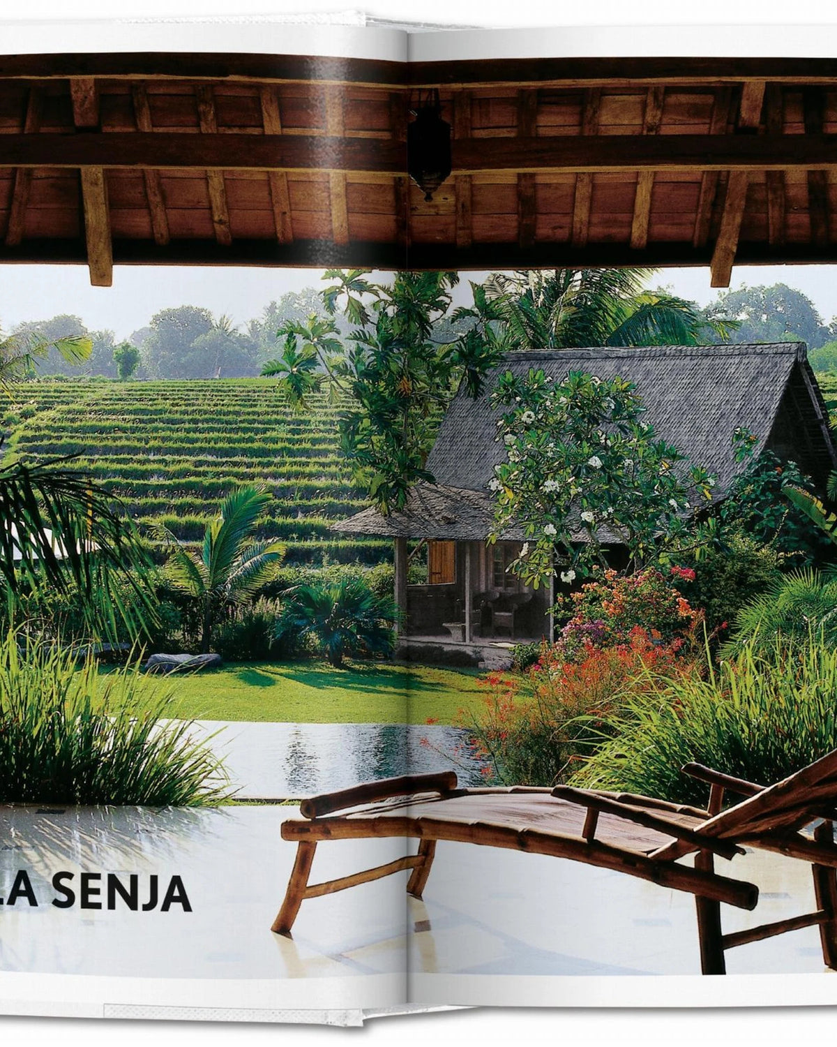 Living in Bali 40ht Edition | Bildmaterial bereitgestellt von SHOES.PLEASE.