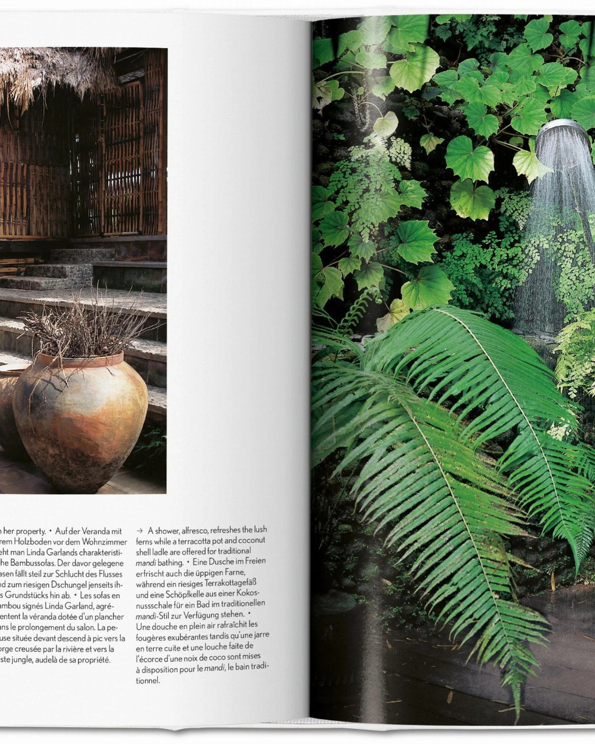 Living in Bali 40ht Edition | Bildmaterial bereitgestellt von SHOES.PLEASE.