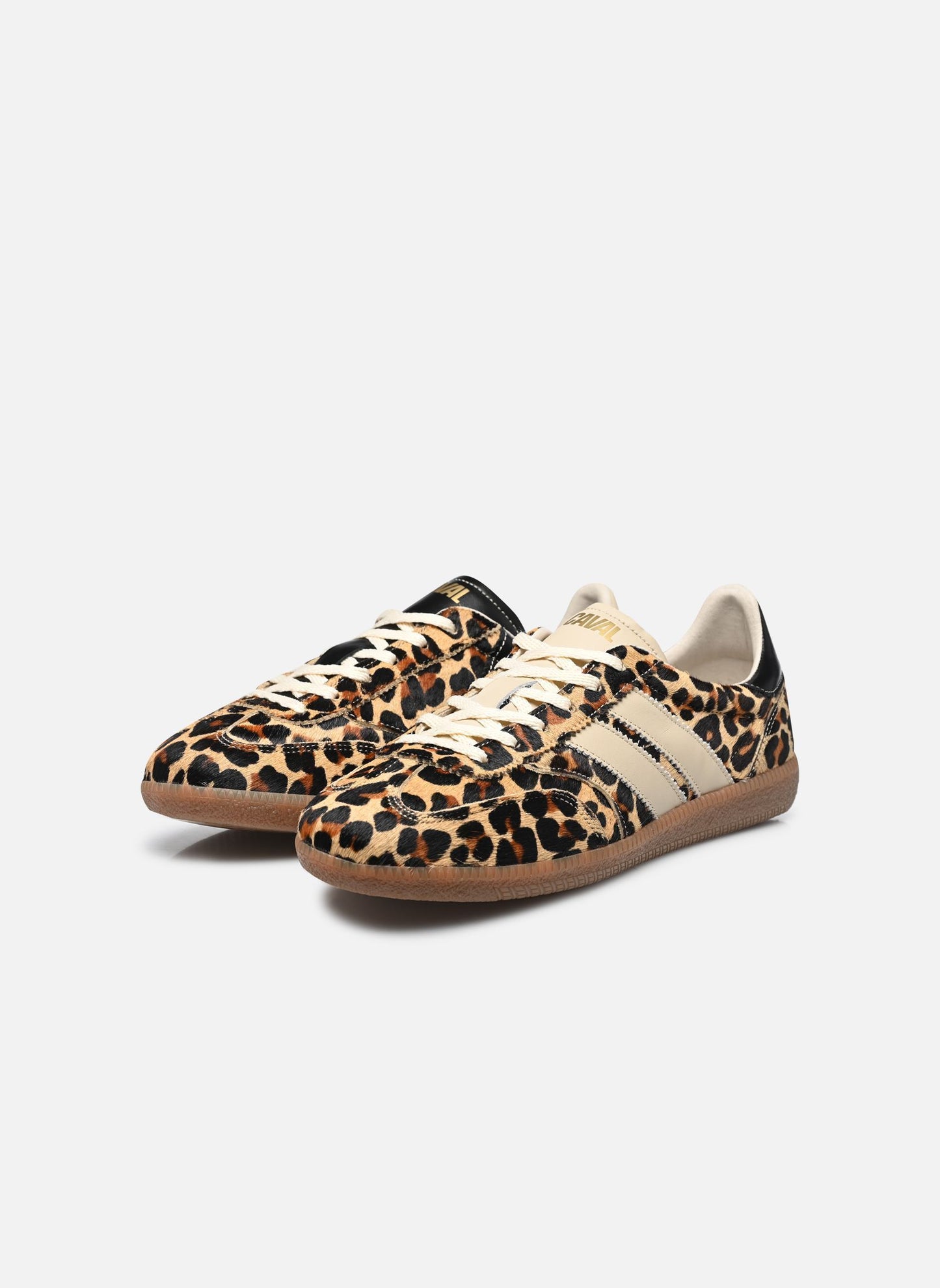 Pulse leo obsession | Bildmaterial bereitgestellt von SHOES.PLEASE.
