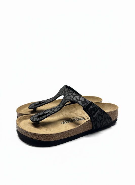 Gizeh Synthetics Women Regular leo black