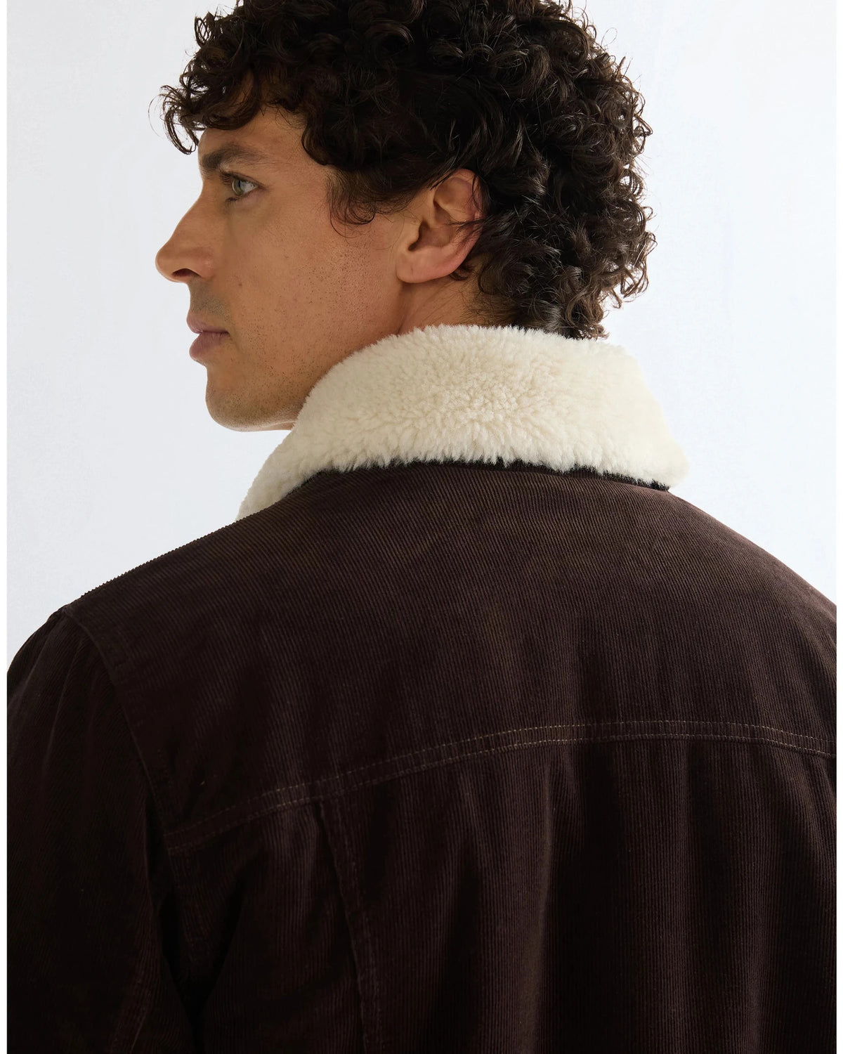 WRANGE COAT chocolate torte | Bildmaterial bereitgestellt von SHOES.PLEASE.