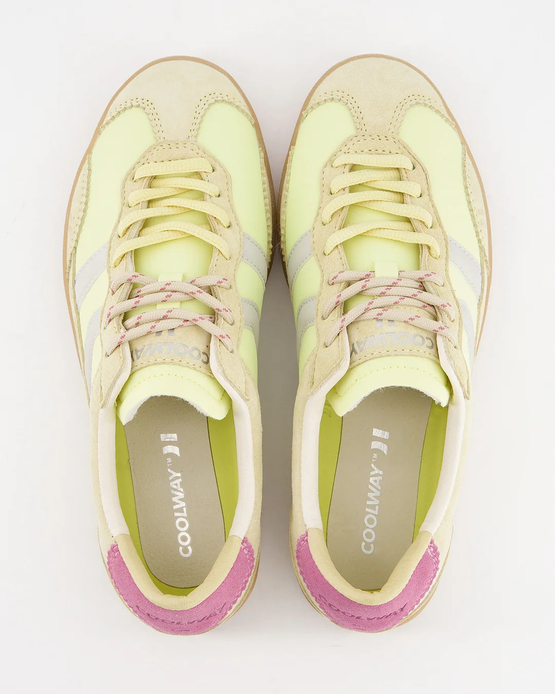 Kizuna sunflower glow | Bildmaterial bereitgestellt von SHOES.PLEASE.