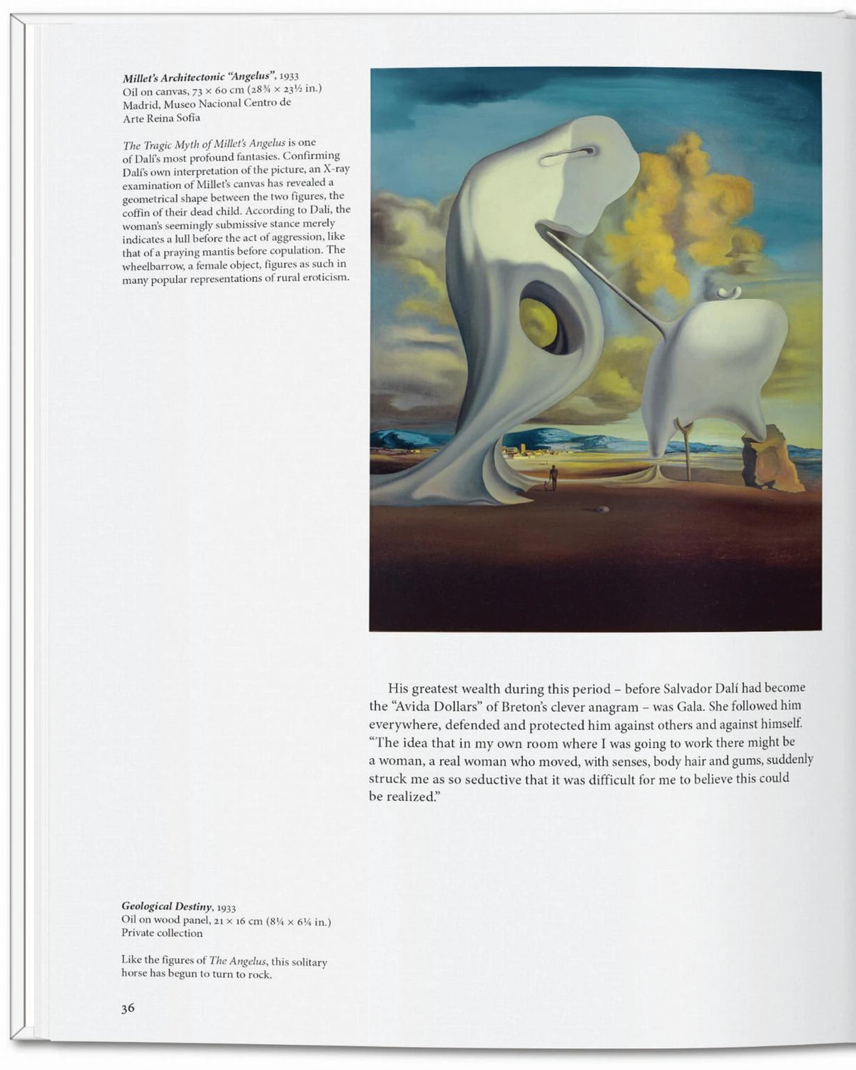 Dalí | Bildmaterial bereitgestellt von SHOES.PLEASE.