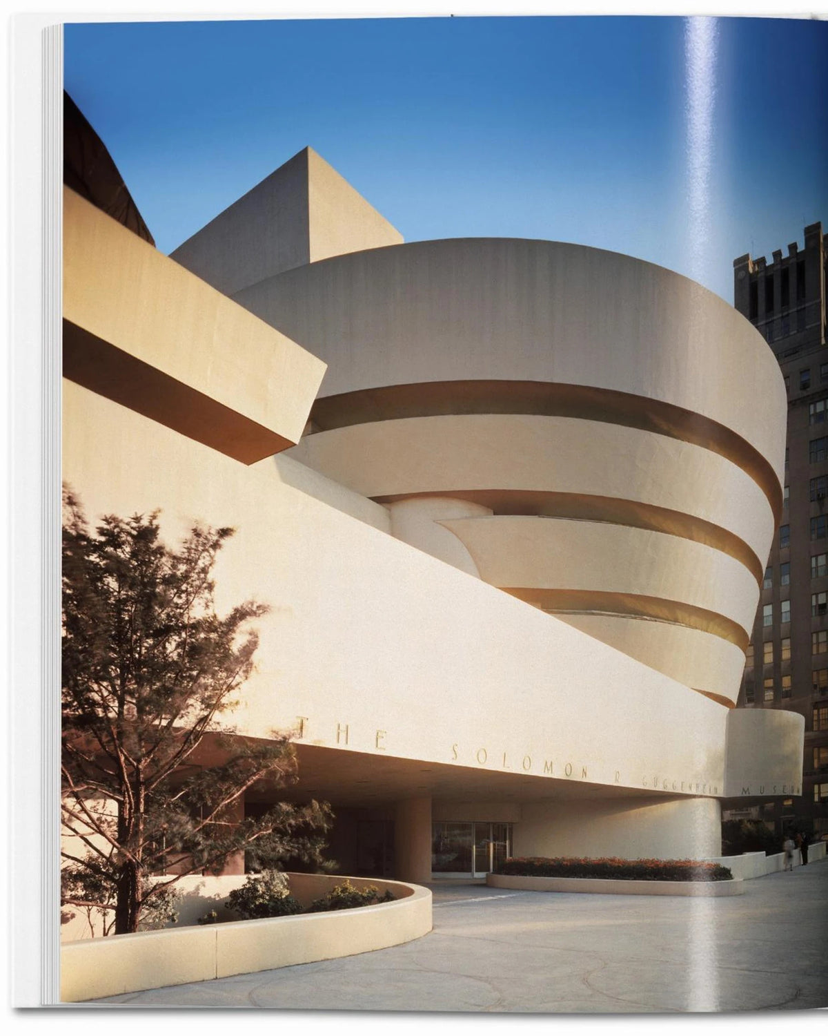 F.L. Wright | Bildmaterial bereitgestellt von SHOES.PLEASE.