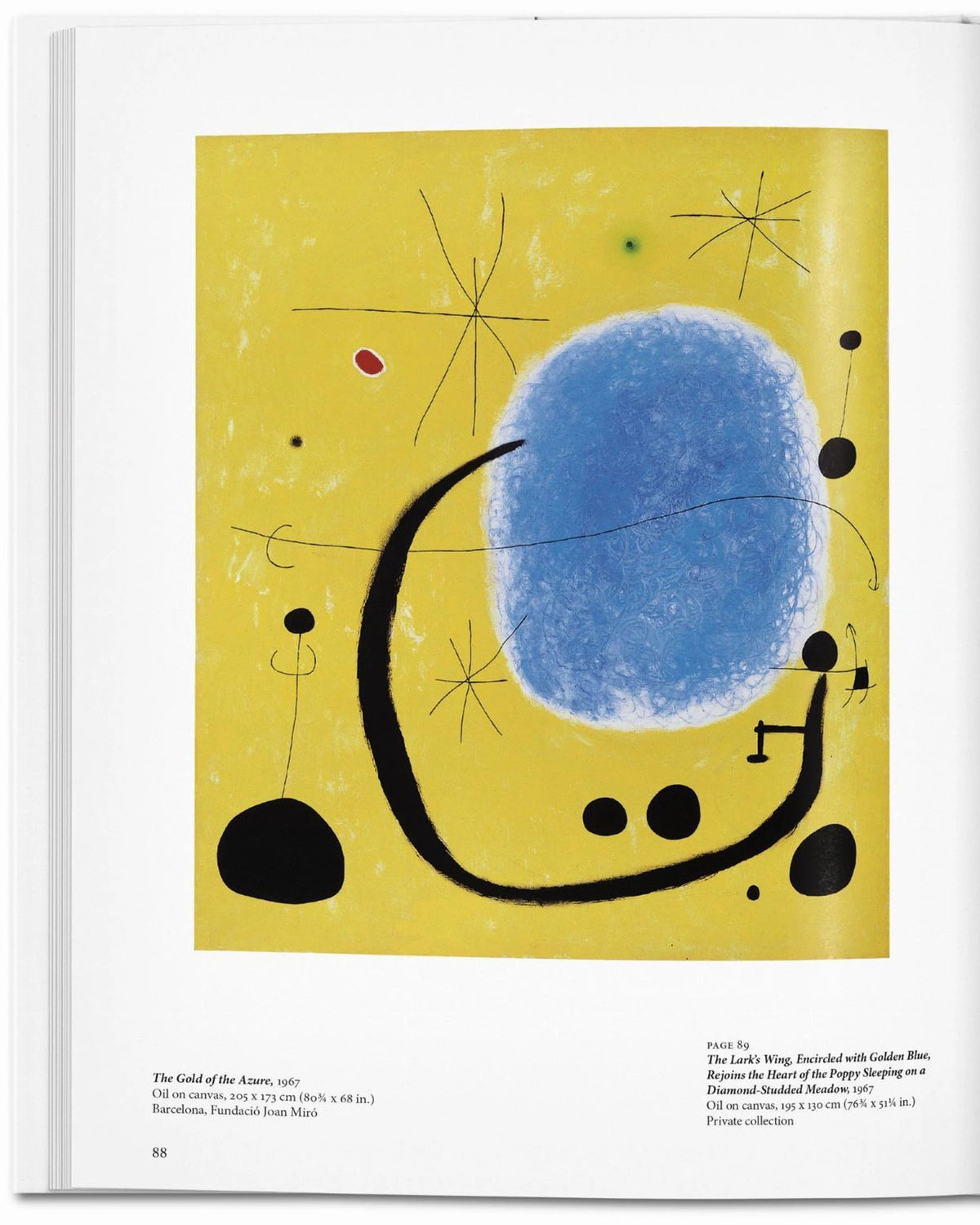 Miró | Bildmaterial bereitgestellt von SHOES.PLEASE.