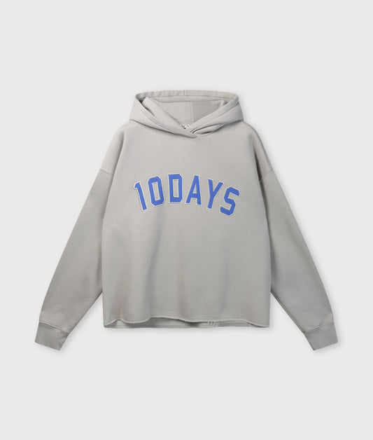statement hoodie stone