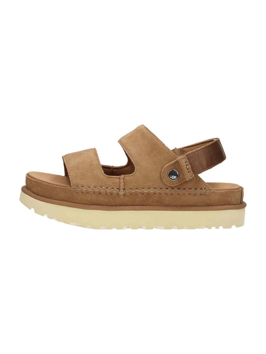 W Goldenstar Glide chestnut