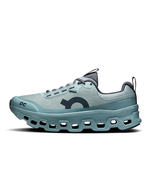 ON Schuhe Herren Cloudmonster 1 WP M blau