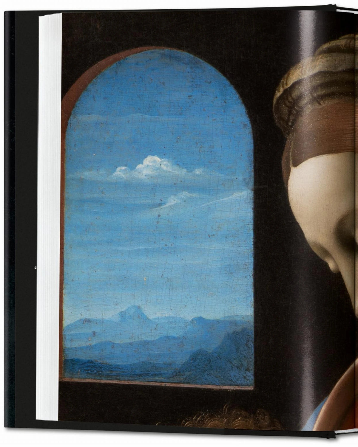 Leonardo, Gemälde | Bildmaterial bereitgestellt von SHOES.PLEASE.