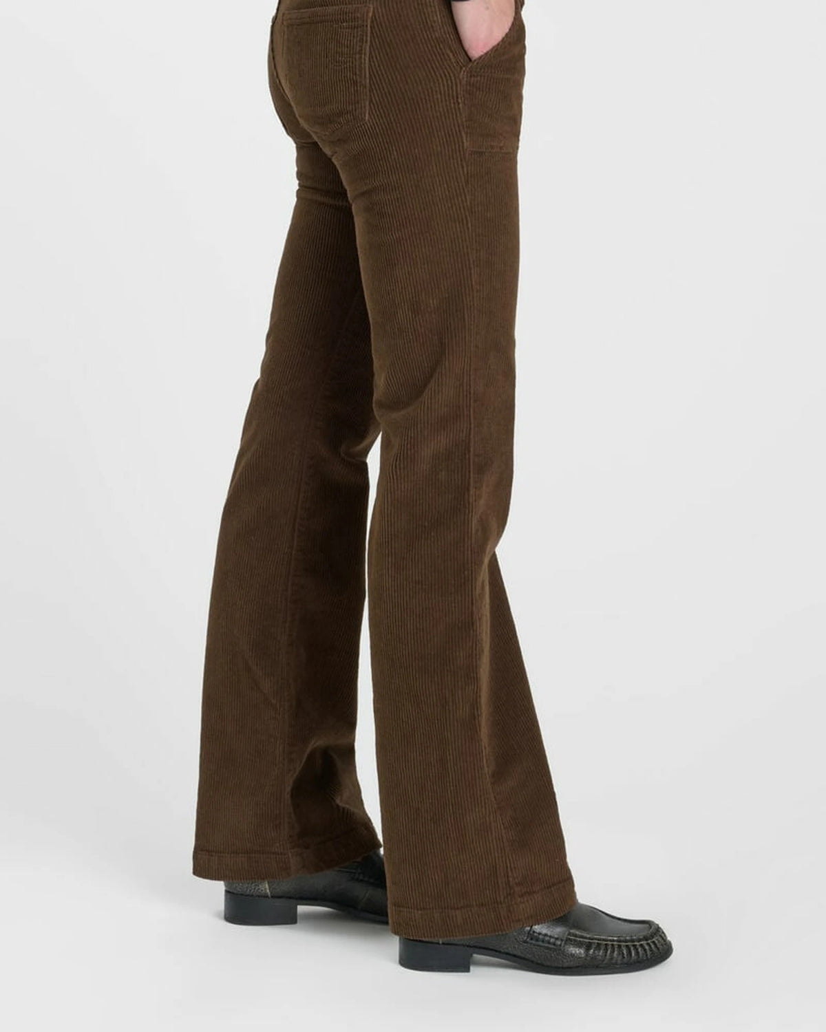 Velvet Flare Hose bear | Bildmaterial bereitgestellt von SHOES.PLEASE.