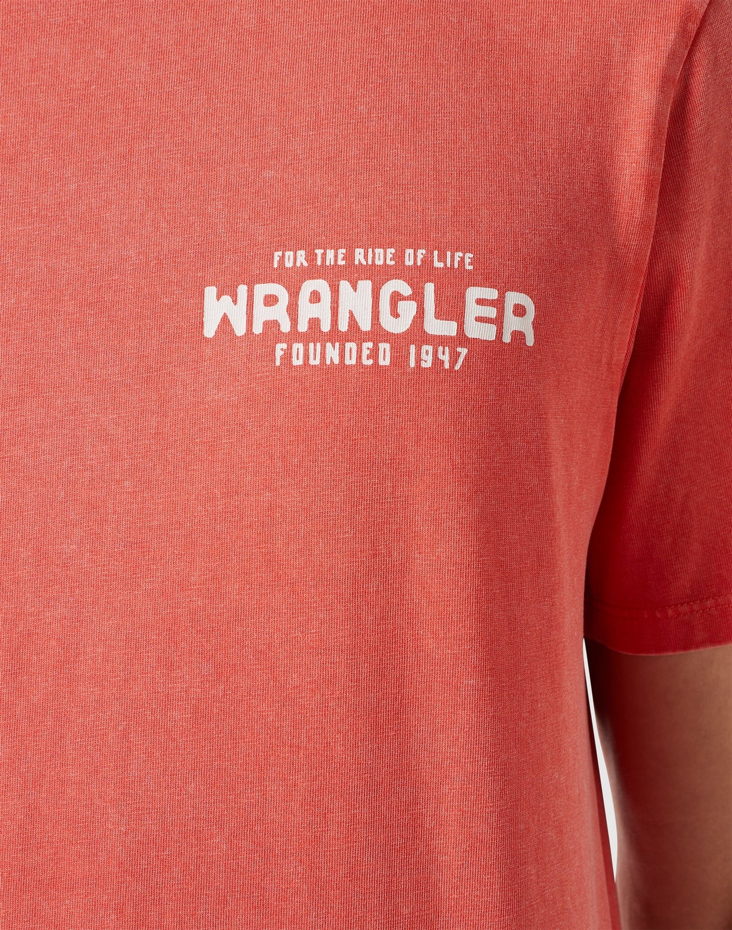 GRAPHIC_TEE BURNT_SIENNA sunwash | Bildmaterial bereitgestellt von SHOES.PLEASE.