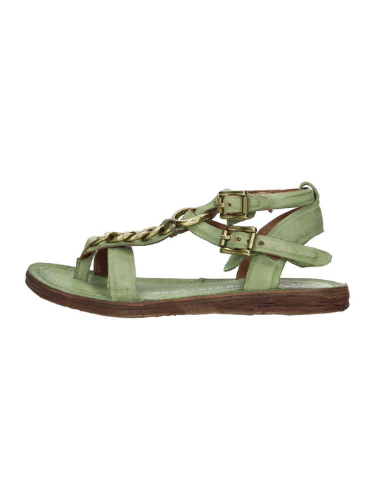 A16023-0201-6288 aloe