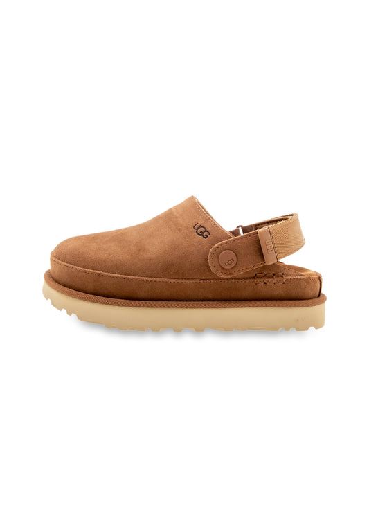 W Goldenstar Clog chestnut