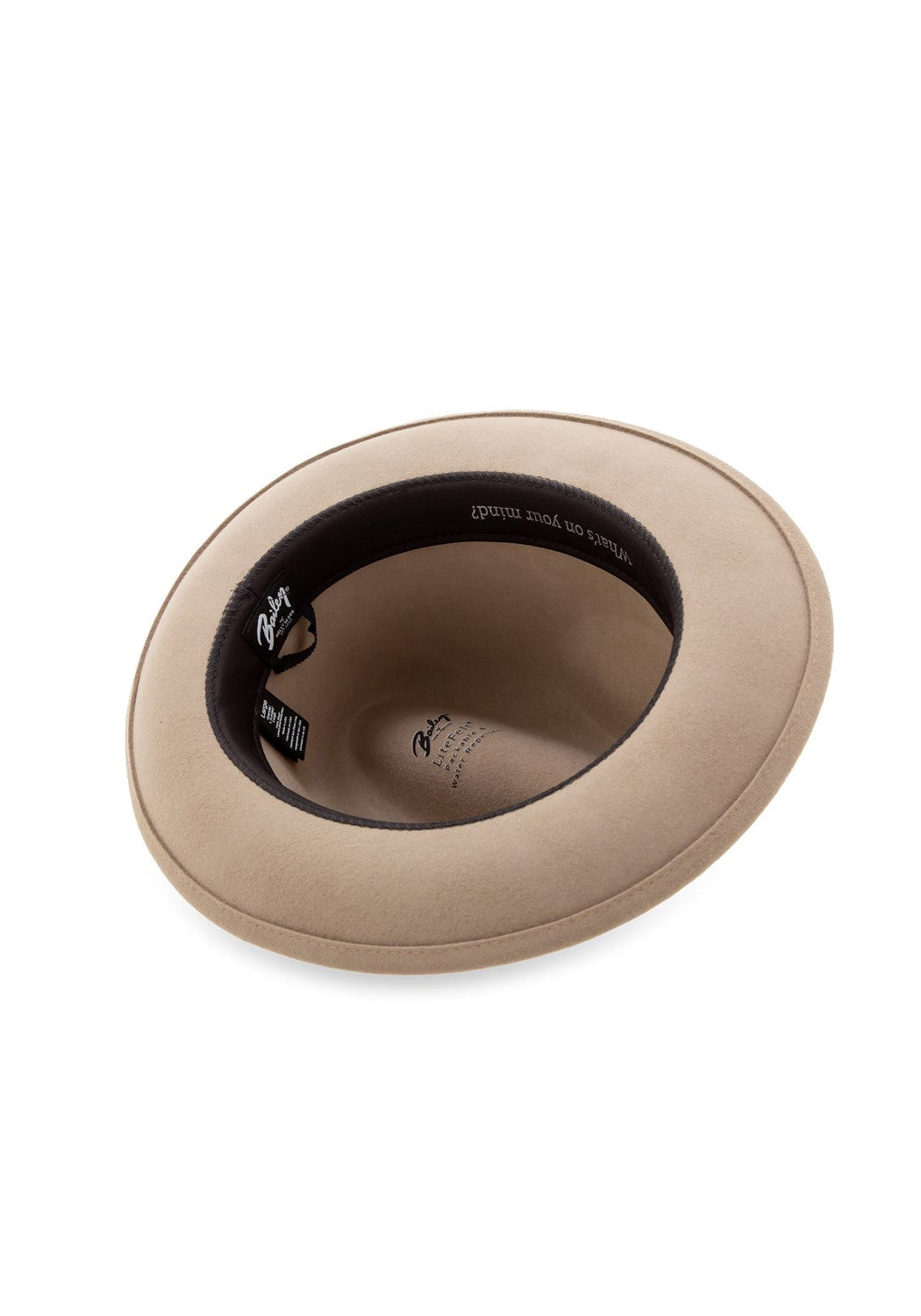 Blixen silverbelly | Bildmaterial bereitgestellt von SHOES.PLEASE.