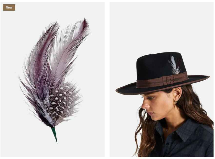 BRIXTON HAT FEATHER bnhbk | Bildmaterial bereitgestellt von SHOES.PLEASE.