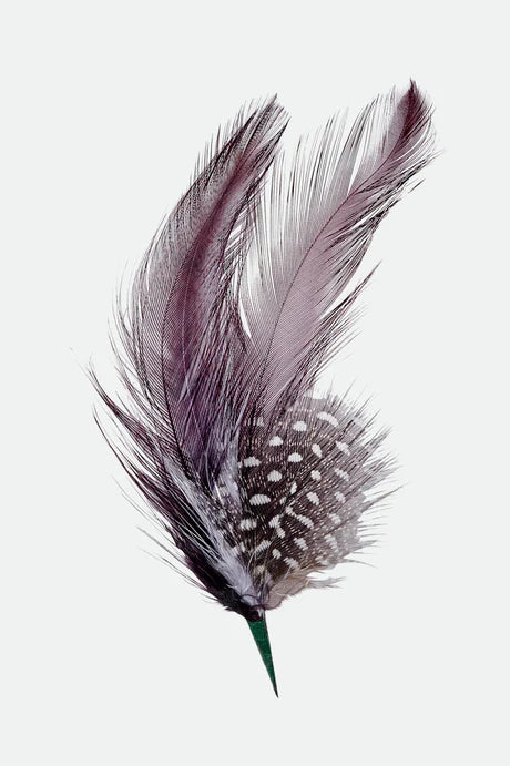 BRIXTON HAT FEATHER bnhbk