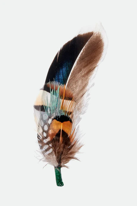 BRIXTON HAT FEATHER bsmbo