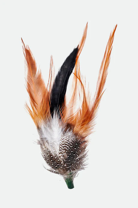 BRIXTON HAT FEATHER btobm | Bildmaterial bereitgestellt von SHOES.PLEASE.