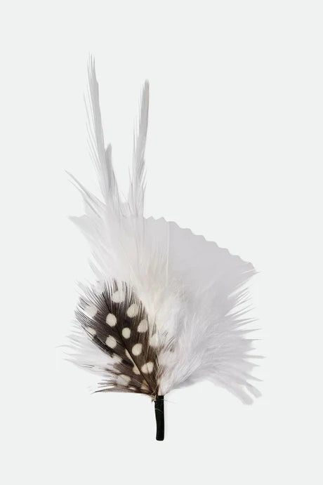 BRIXTON HAT FEATHER whblk | Bildmaterial bereitgestellt von SHOES.PLEASE.