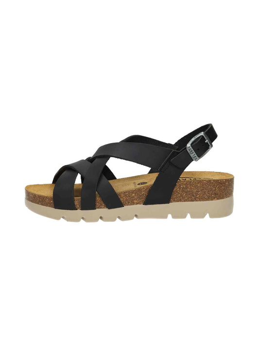 Compas 355888 Apure negro