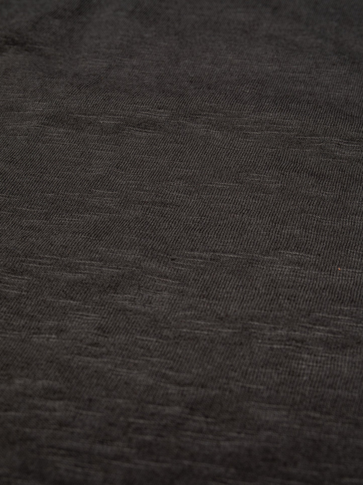 Roy Heavy Slub T-Shirt anthracite | Bildmaterial bereitgestellt von SHOES.PLEASE.